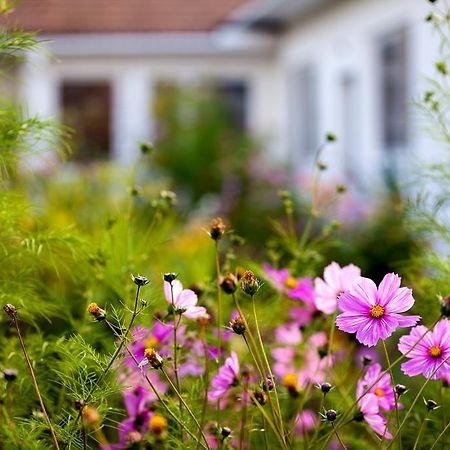 Engels Landhaus Suite Morbisch am See Bagian luar foto