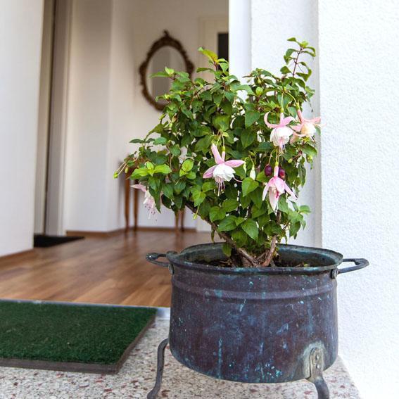 Engels Landhaus Suite Morbisch am See Bagian luar foto